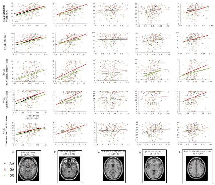 Correlation analysis between cognitive test scores and volume of the peak clusters of the default mode network medial temporal subsystem.