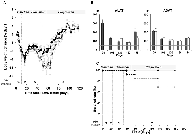 Systemic toxicity of DEN according to Per2 loss-of-function in the initiation, promotion and progression stages.