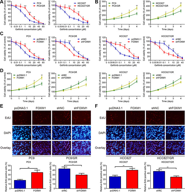 FOXM1 counteracts gefitinib-induced cell death of lung adenocarcinoma cells.