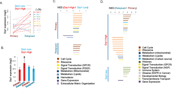 Drp1 co-expresses with cell cycle genes in relapsed tumors of a particular group of EOC patients.