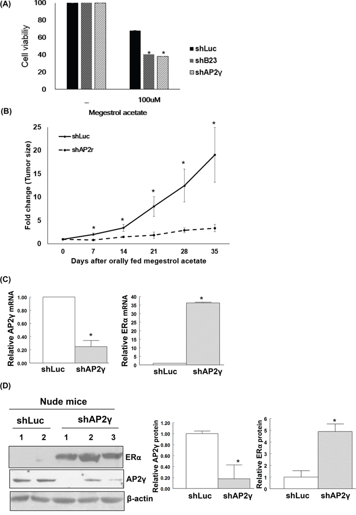 Restoration of ER&#x03B1; expression renders endometrial cancer cells susceptible to megestrol acetate treatment.