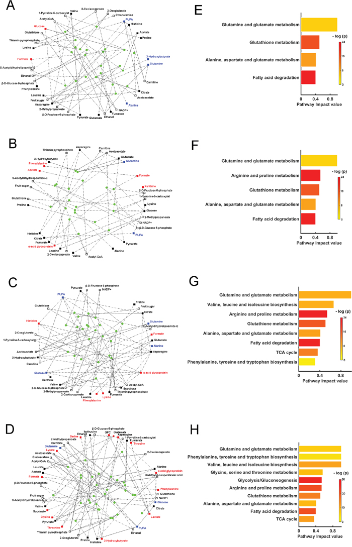 Perturbed metabolic networks and significantly altered metabolic pathways associated with four typical pathological stages of gastric carcinogenesis compared with the normal stage.