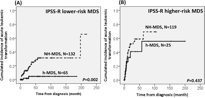 The comparison of the risk of acute leukemic transformation between h-MDS and NH-MDS patients in subgroups of patients with lower-risk and higher-risk MDS.