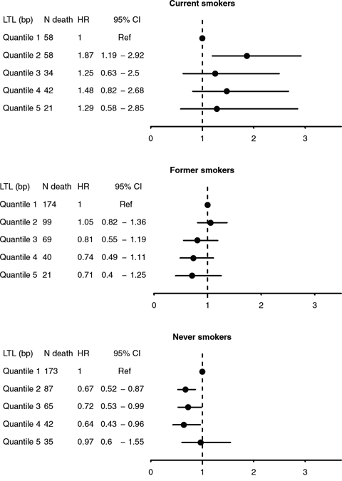 Hazard ratios (HRs) and 95% confidence intervals for all-cause mortality by quintiles of mean LTL (T/S ratio), stratified by self-reported smoking status at baseline.