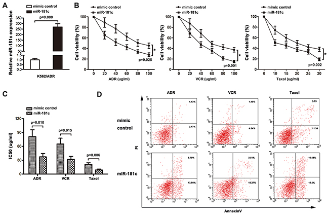 Upregulation of miR-181c decreases cell chemoresistance in vitro.