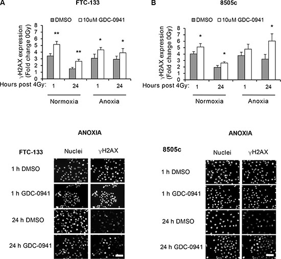 Pharmacological inhibition of PI3K increases and prolongs radiation-induced DNA damage across oxygen environments.