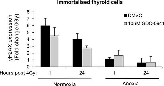 GDC-0941 does not affect radiation-induced DNA damage in immortalised thyroid cells.