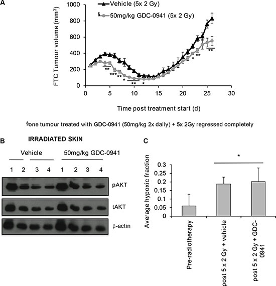 GDC-0941 increases tumour regression post-radiotherapy.