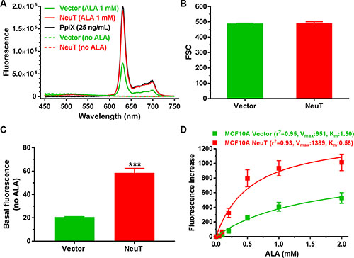 NeuT oncogene transformation enhanced ALA-induced PpIX fluorescence.