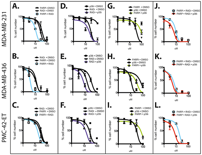 Combination of RAD51, PARP and p38 inhibitors against TNBC cell lines.