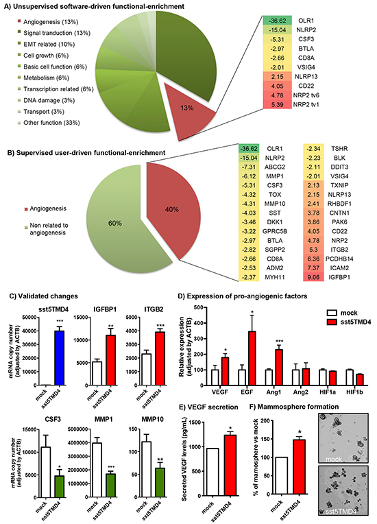 sst5TMD4 expression is associated to higher expression of pro-angiogenic factors and higher capacity to form mammospheres in breast cancer MCF-7 cells.