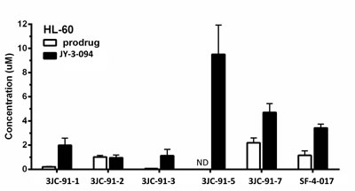 LC-MS/MS quantification of intracellular prodrug and metabolite in HL-60 cells.