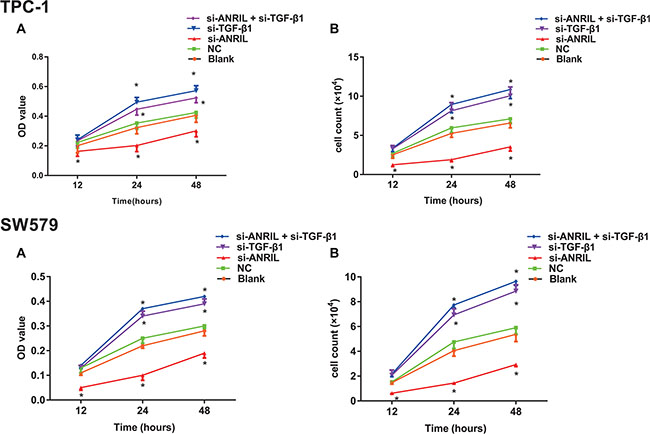 The effect of lncRNA expression on the growth of thyroid cancer TPC-1 and SW579 cells detected by methyl thiazolyl tetrazolium (MTT) and cell counting.