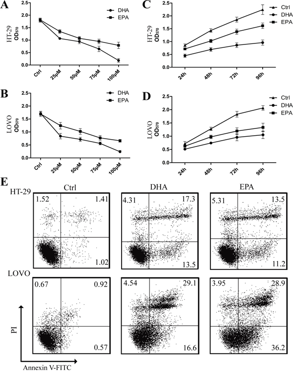 &#x03C9;-3 PUFAs suppress proliferation and induce apoptosis of CRC cells.