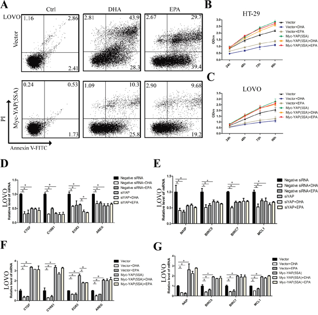 &#x03C9;-3 PUFAs inhibit proliferation and induce apoptosis of CRC cells via YAP.