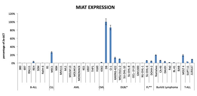 MIAT expression in Leukemia/Lymphoma cell lines.