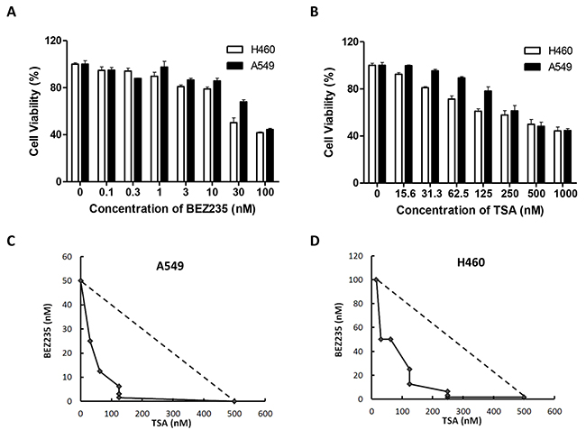 Combination treatment with BEZ235 followed by TSA leads to synergistic cytotoxic effect on A549 and H460 cells.