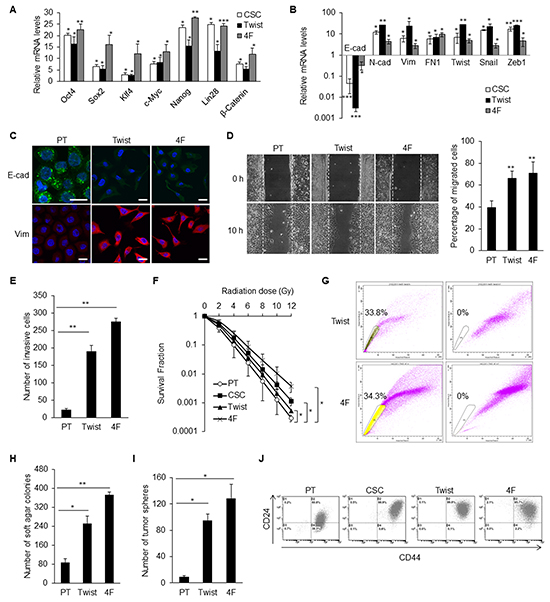 EMT and stemness factors could generate CD44high/CD24high iCSCs in NPC.