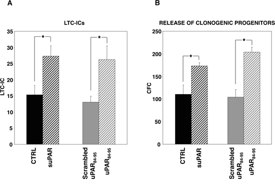 Soluble uPAR forms increase the number of LTC-ICs and clonogenic progenitors in long-term cultures of PB-CD34+ cells.