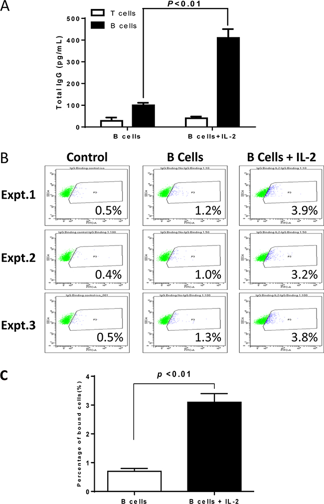 Humoral responses against 4T1 in the hosts subjected to 4T1 TDLN B cells + IL-2 therapy.