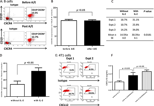 Expression of CXCR4 in 4T1 TDLN B cells and CXCL12 in 4T1 tumor cells.