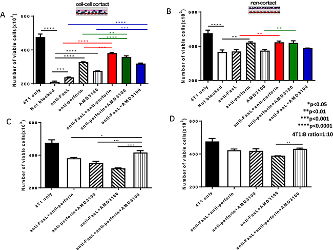 Cytotoxicity of 4T1 tumor cells mediated by 4T1 TDLN B cells involves Fas/FasL and CXCR4/CXCL12 pathways as well as perforin.