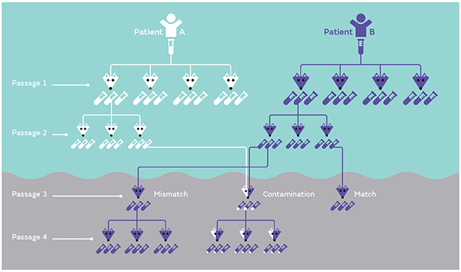 Examples of PDX mis-identification.