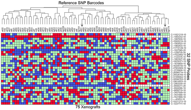 Heatmap of the SNP profile of 75 established PDXs.