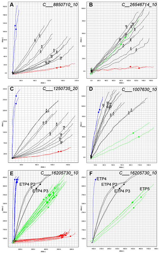 Allelic discrimination plot analysis allows for the detection of contaminated samples.