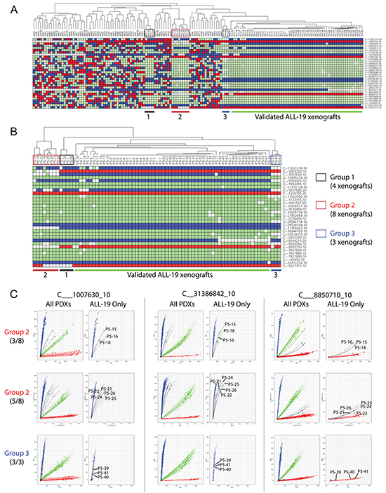 Identification of contaminated PDXs from a panel of ALL-19 PDXs derived from 74 individual mice.