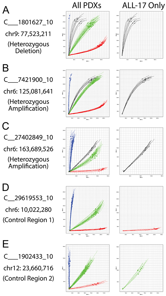 Allelic imbalances detected in patients with complex karyotypes.