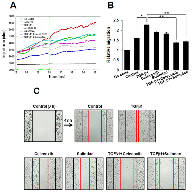 Effects of celecoxib and sulindac on transforming growth factor (TGF)-&#x03B2;1-induced A549 cell migration.