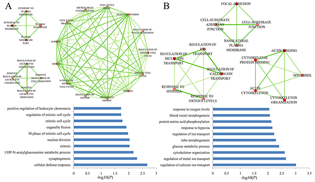 Significantly enriched GO terms in the gain and loss ceRNA networks.