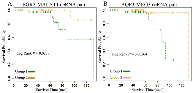ceRNA pairs were significantly correlated with the overall survival of PC patients in the gain and loss ceRNA networks.