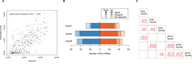 Expression of miRNAs in tamoxifen-resistant and -sensitive cell lines.