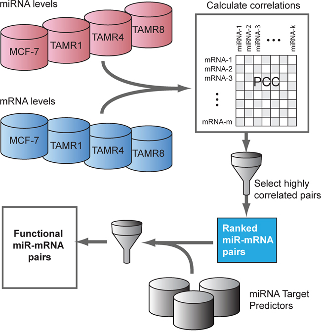 Inverse-correlation analysis of miRNA and mRNA expression data to identify predicted functional miRNA-targets.