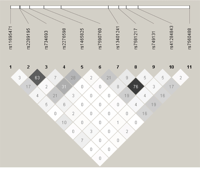 Pairwise linkage disequilibrium of the 11 DNMT3A SNPs in the studied AML patients.