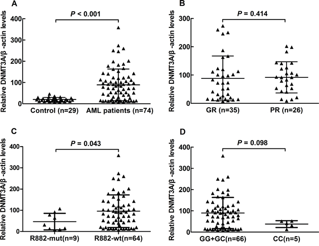 DNMT3A mRNA levels in AML patients with different CR status, R882 mutation status and rs7590760 genotypes.