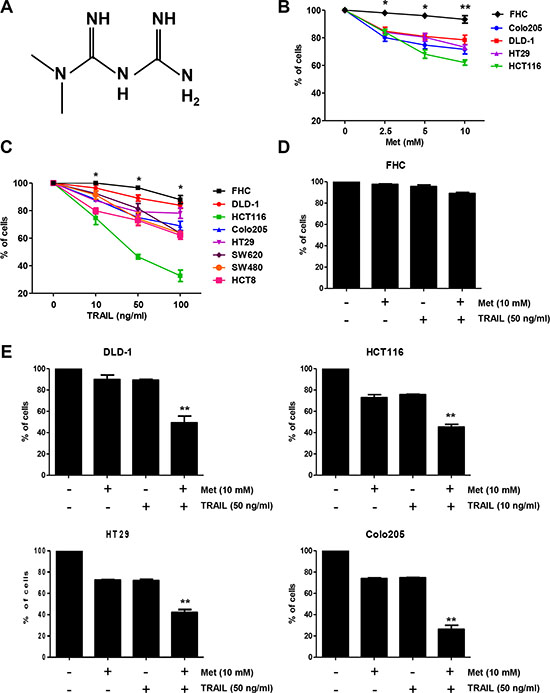 Metformin significantly increased TRAIL-induced cytotoxicity of human CRC cell lines.