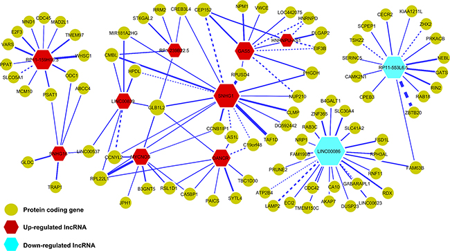 Co-expression network of lncRNAs and protein-coding genes in MYCN amplified neuroblastoma.