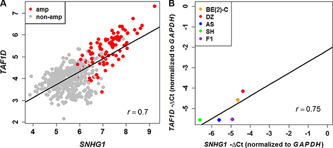 Positive correlation between SNHG1 and TAF1D expression.