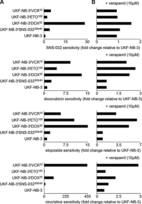 Relative sensitivity of UKF-NB-3 and its ABCB1-expressing sub-lines with acquired resistance to SNS-032 (UKF-NB-3rSNS-032300nM), doxorubicin (UKF-NB-3rDOX20), etoposide (UKF-NB-3rETO100), and vincristine (UKF-NB-3rVCR10) to the cytotoxic ABCB1 substrates SNS-032, doxorubicin, etoposide, and vincristine in the absence or presence of the ABCB1 inhibitor verapamil.