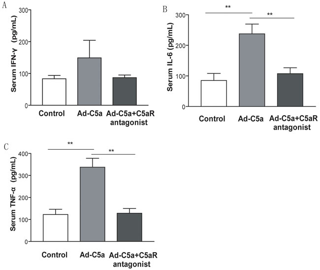 Effect of C5a overexpression on inflammatory cytokines expression.
