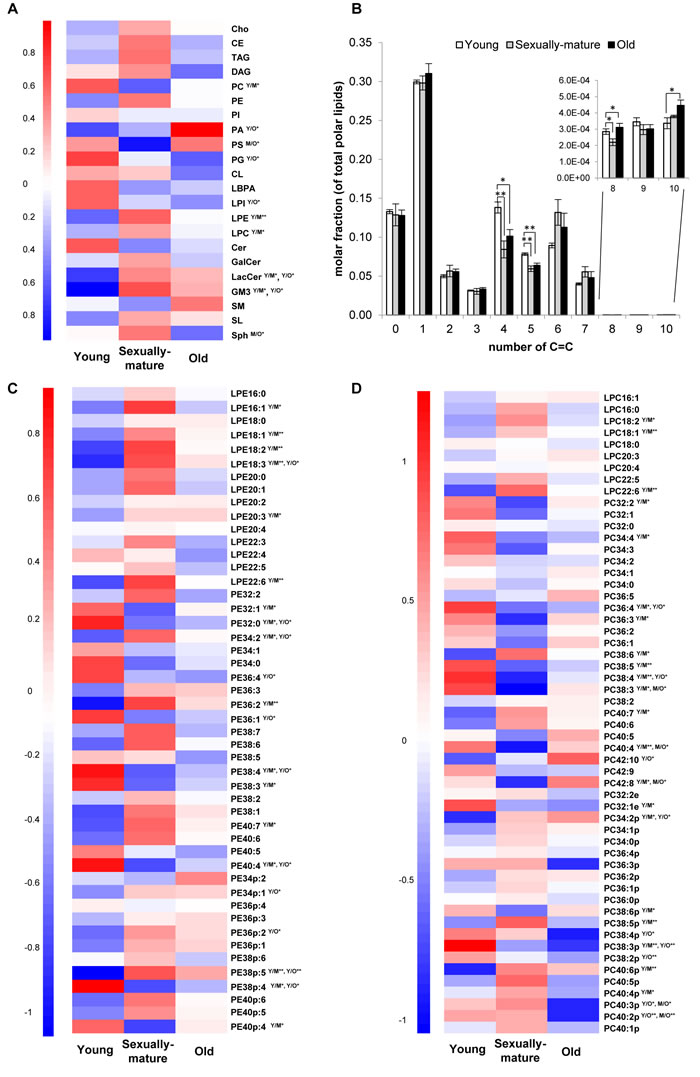 Head group-specific transitions revealed interesting changes in the unsaturation index of membrane lipids across young, sexually-mature and old macaques.