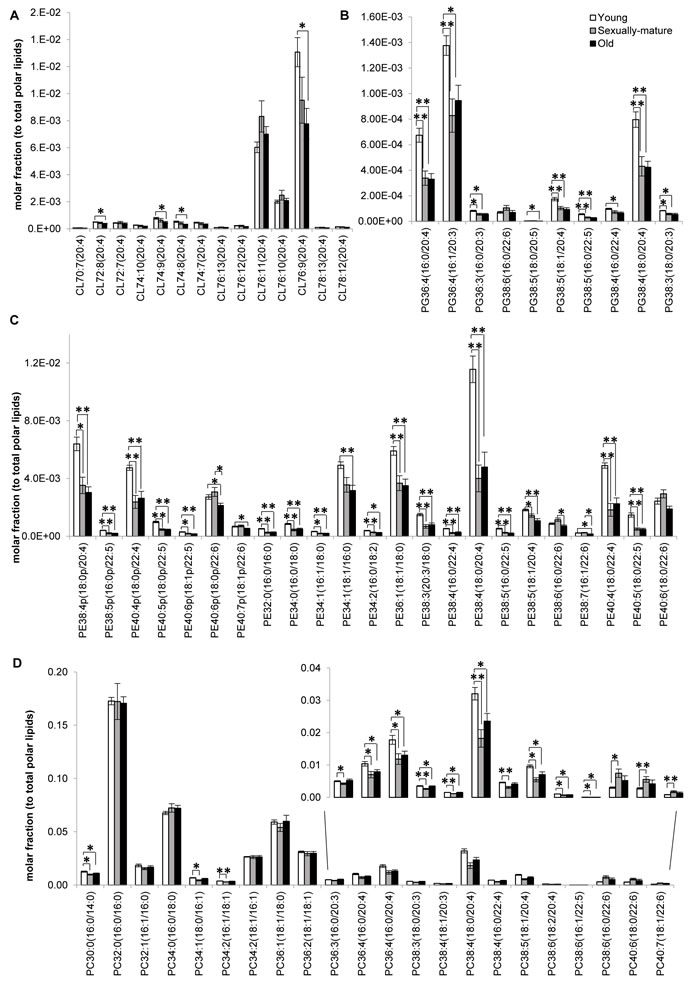 Fatty acid-specific alterations in membrane lipids implicated in cardiolipin biosynthesis and remodeling across young, sexually-mature and old macaques.