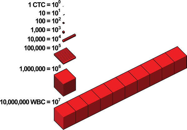 Detecting a CTC is analogous to figuratively looking for a needle in a haystack.