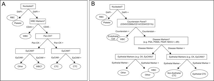 Decision trees enable consensus definitions for CTC classification using current biomarkers.