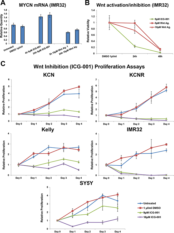 Varying dynamic response to small molecule Wnt activation/inhibition.