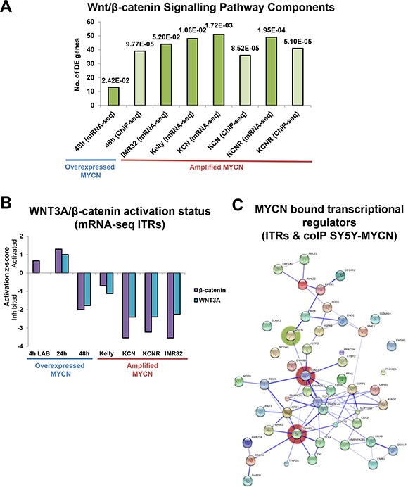 Omic scale investigation of MYCN interactions with the Wnt/&#x03B2;-catenin signalling pathway.