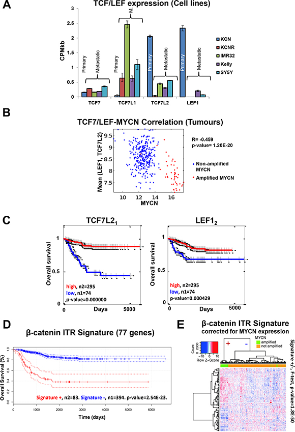 Cell line omics data is predictive of neuroblastoma patient expression profiles and outcome.